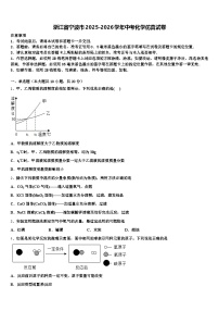 浙江省宁波市2025-2026学年中考化学仿真试卷（含答案解析）