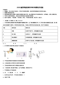 2026届甘肃省张掖市中考冲刺卷化学试题（含答案解析）