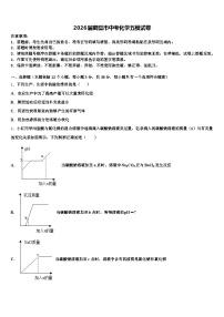 2026届鹤壁市中考化学五模试卷（含答案解析）