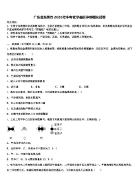 广东省东莞市2026年中考化学最后冲刺模拟试卷（含答案解析）