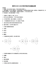 晋中市2025-2026学年中考化学全真模拟试卷（含答案解析）