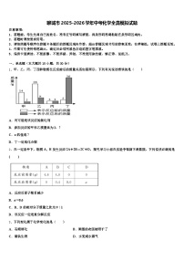 聊城市2025-2026学年中考化学全真模拟试题（含答案解析）