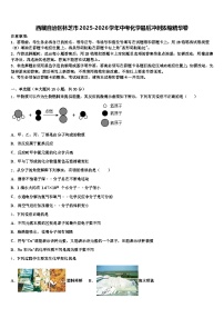 西藏自治区林芝市2025-2026学年中考化学最后冲刺浓缩精华卷（含答案解析）