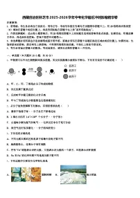 西藏自治区林芝市2025-2026学年中考化学最后冲刺浓缩精华卷（含答案解析）