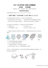 2025年深圳市南山外国语学校集团中考一模化学试卷含答案