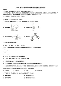 2026届广东省肇庆市中考适应性考试化学试题（含答案解析）