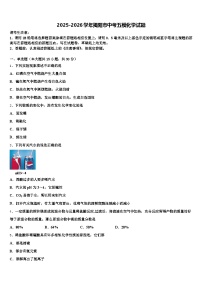 2025-2026学年揭阳市中考五模化学试题（含答案解析）