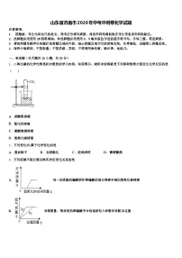 山东省济南市2026年中考冲刺卷化学试题（含答案解析）