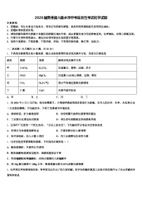 2026届贵州省六盘水市中考适应性考试化学试题（含答案解析）