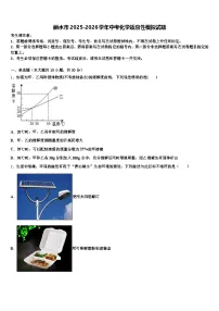丽水市2025-2026学年中考化学适应性模拟试题（含答案解析）