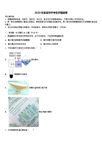 2026年宣城市中考化学猜题卷（含答案解析）