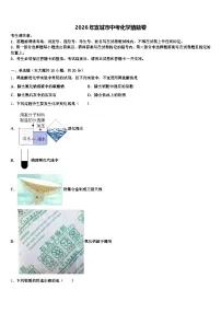 2026年宣城市中考化学猜题卷（含答案解析）