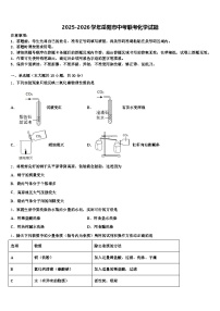 2025-2026学年岳阳市中考联考化学试题（含答案解析）