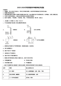 2025-2026学年岳阳市中考联考化学试题（含答案解析）
