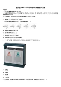 四川省2025-2026学年中考冲刺卷化学试题（含答案解析）