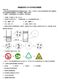 陕西省宝鸡市2026年中考化学押题卷（含答案解析）