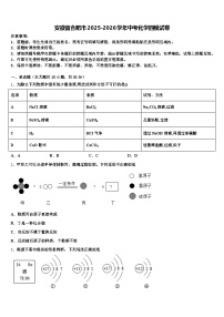 安徽省合肥市2025-2026学年中考化学四模试卷（含答案解析）