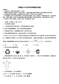 贵州省2026年中考冲刺卷化学试题（含答案解析）