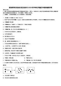 新疆维吾尔自治区克拉玛依市2026年中考化学最后冲刺浓缩精华卷（含答案解析）