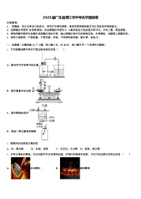 2026届广东省湛江市中考化学猜题卷（含答案解析）