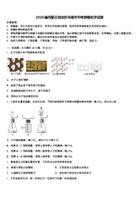 2026届内蒙古自治区乌海市中考四模化学试题（含答案解析）