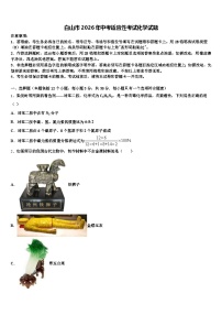 白山市2026年中考适应性考试化学试题（含答案解析）