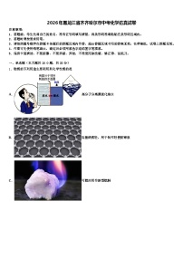 2026年黑龙江省齐齐哈尔市中考化学仿真试卷（含答案解析）