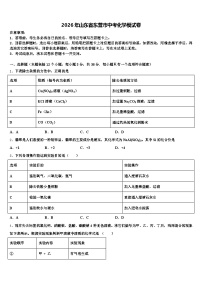 2026年山东省东营市中考化学模试卷（含答案解析）
