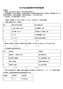 2026年山东省东营市中考化学模试卷（含答案解析）