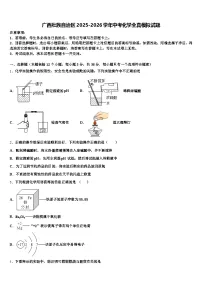 广西壮族自治区2025-2026学年中考化学全真模拟试题（含答案解析）