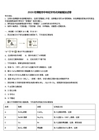 2026年濮阳市中考化学对点突破模拟试卷（含答案解析）