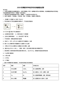 2026年濮阳市中考化学对点突破模拟试卷（含答案解析）