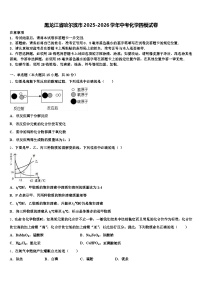 黑龙江省哈尔滨市2025-2026学年中考化学四模试卷（含答案解析）