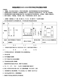 陕西省咸阳市2025-2026学年中考化学考试模拟冲刺卷（含答案解析）