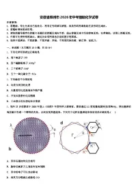 安徽省滁州市2026年中考猜题化学试卷（含答案解析）