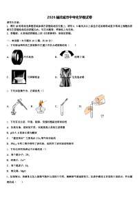 2026届武威市中考化学模试卷（含答案解析）