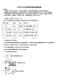 三沙市2026年中考化学适应性模拟试题（含答案解析）
