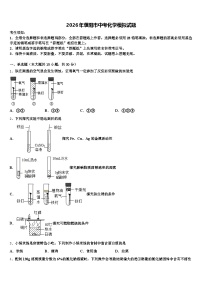 2026年濮阳市中考化学模拟试题（含答案解析）