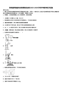 贵州省黔西南布依族苗族自治州2025-2026学年中考联考化学试题（含答案解析）
