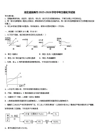 湖北省宜昌市2025-2026学年中考五模化学试题（含答案解析）