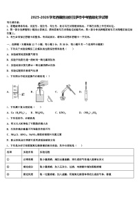 2025-2026学年西藏自治区拉萨市中考猜题化学试卷（含答案解析）