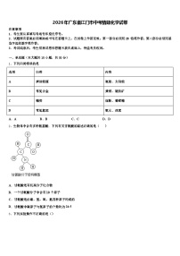 2026年广东省江门市中考猜题化学试卷（含答案解析）