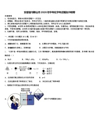 安徽省马鞍山市2026年中考化学考试模拟冲刺卷（含答案解析）