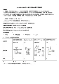 2025-2026学年天津市中考化学猜题卷（含答案解析）