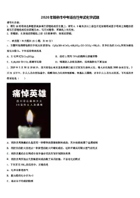 2026年榆林市中考适应性考试化学试题（含答案解析）