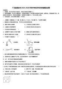 广东省清远市2025-2026学年中考化学对点突破模拟试卷（含答案解析）