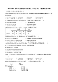 2025-2026学年四川省绵阳市涪城区九年级（下）段考化学试卷-自定义类型