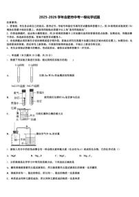 2026年安徽省合肥市中考一模化学试题（含解析）