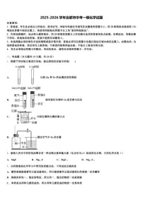 2026年安徽省合肥市中考一模化学试题（含解析）