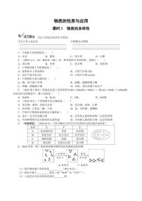 课时1 物质的多样性2026年中考化学一轮复习考点练习（含答案）